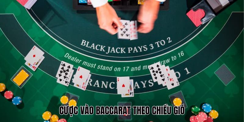 Đặt cược vào Baccarat theo chiều gió