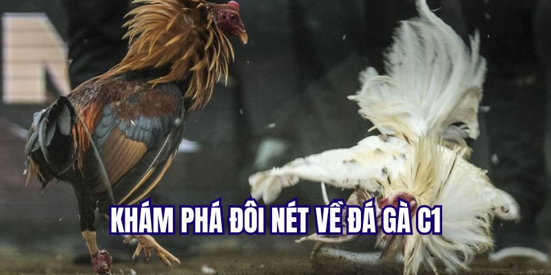 Tóm lược thông tin về Đá Gà C1