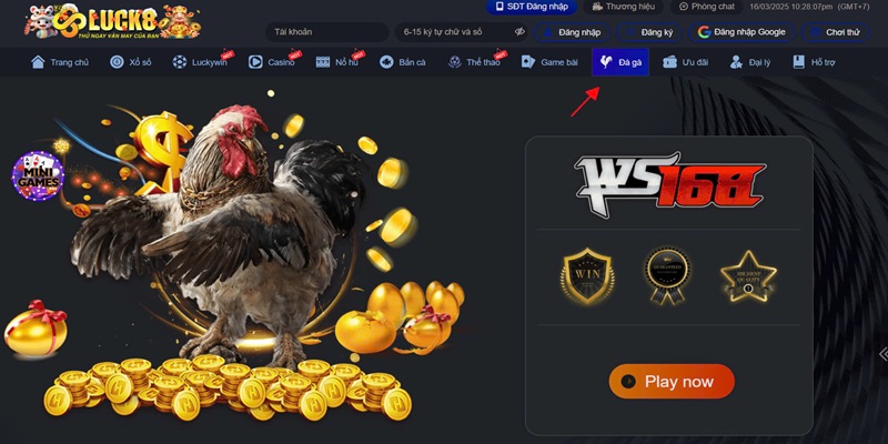 Hướng dẫn thao tác đặt cược đá gà Peru tại Luck8