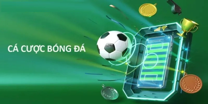 Mẹo cá cược thắng nhanh và an toàn cho người mới
