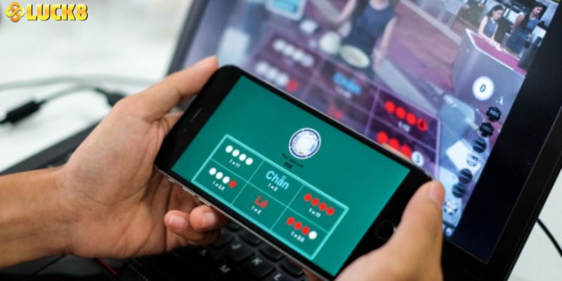 Tham khảo dự đoán qua các phần mềm uy tín