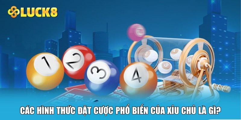 Các hình thức đặt cược phổ biến của xỉu chủ là gì?