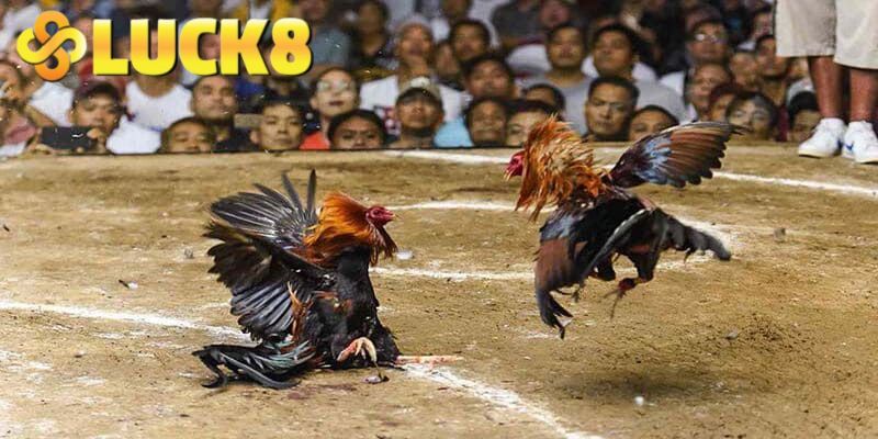 Chiến thuật là bí quyết giúp bạn tạo nên kết quả tốt 