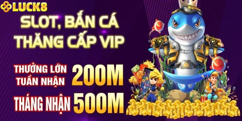Thông tin chi tiết về những đãi ngộ nhận được của hội viên VIP